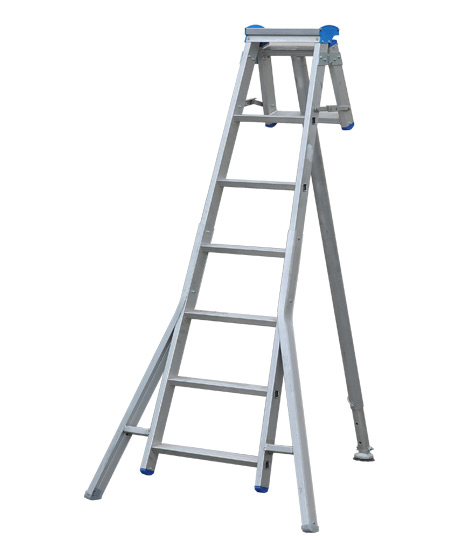 Stradbally-ladders